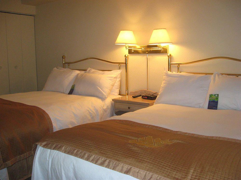 Holiday Inn Express Hotel & Suites Uptown Fredericton By Ihg מראה חיצוני תמונה