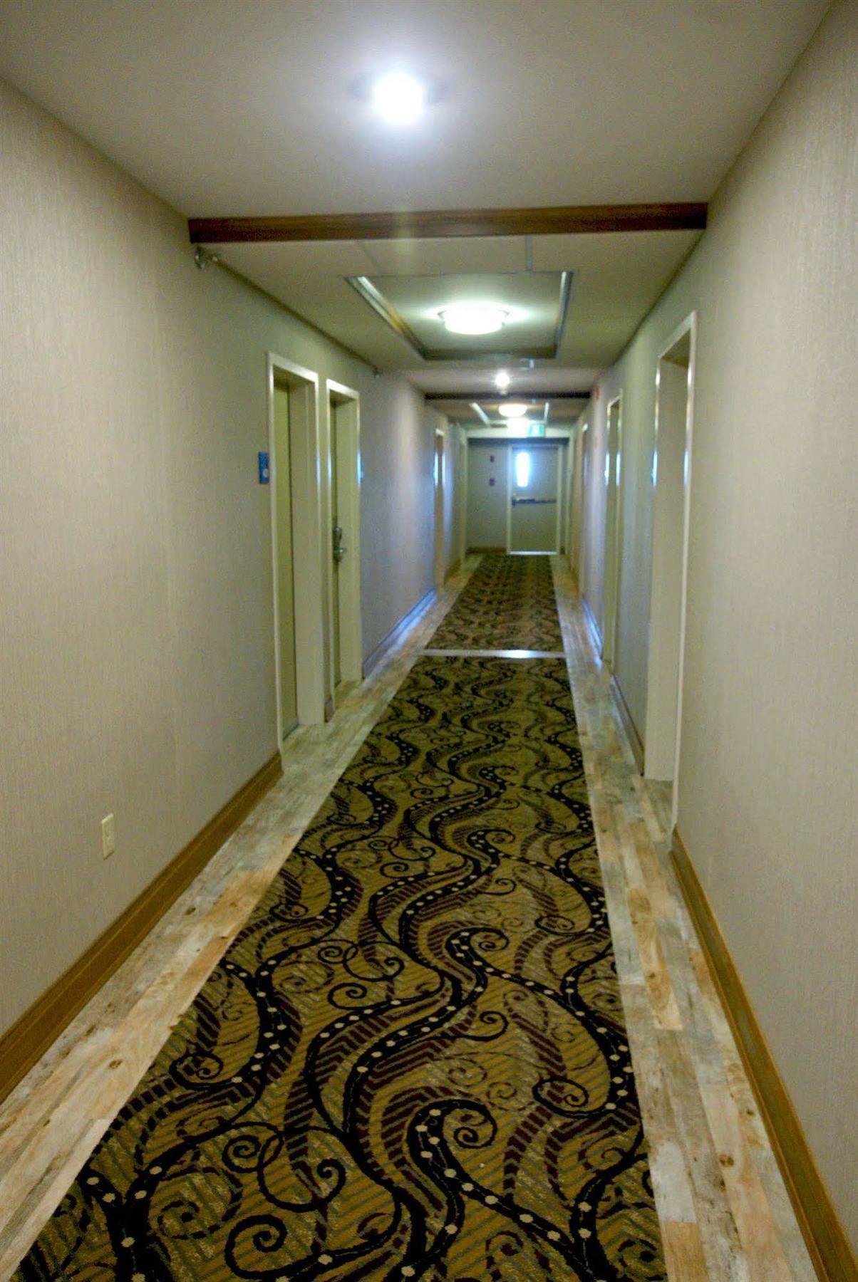 Holiday Inn Express Hotel & Suites Uptown Fredericton By Ihg מראה חיצוני תמונה